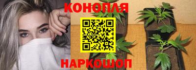 МДПВ Старая Купавна