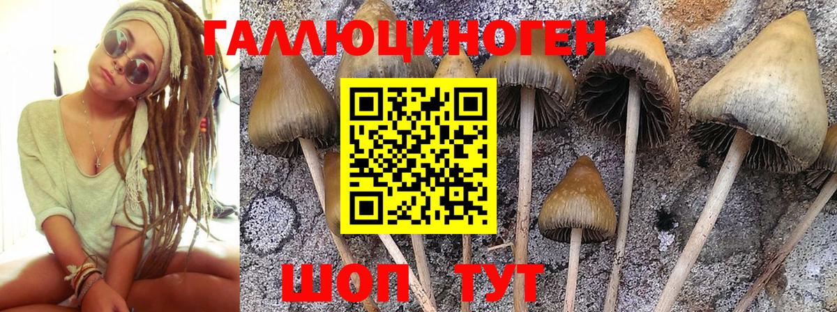 Галлюциногенные грибы ЛСД Сертолово