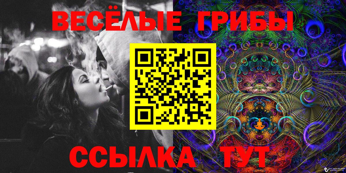 Сертолово  Псилоцибиновые грибы Magic Shrooms  где купить наркоту  Псилоцибиновые грибы MAGIC MUSHROOMS  Вход с VPN 