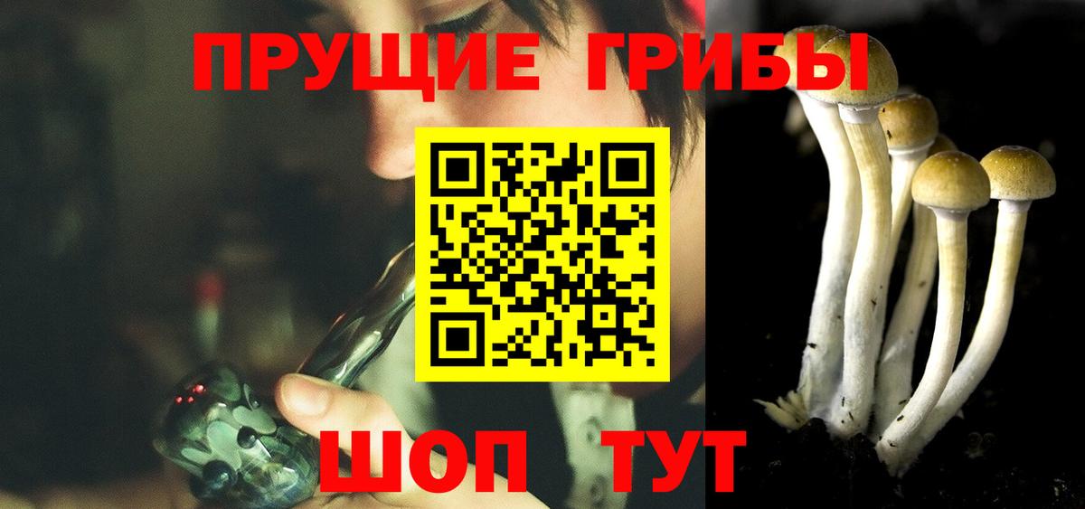 A PVP Сертолово